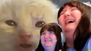 local white woman tries not to laugh