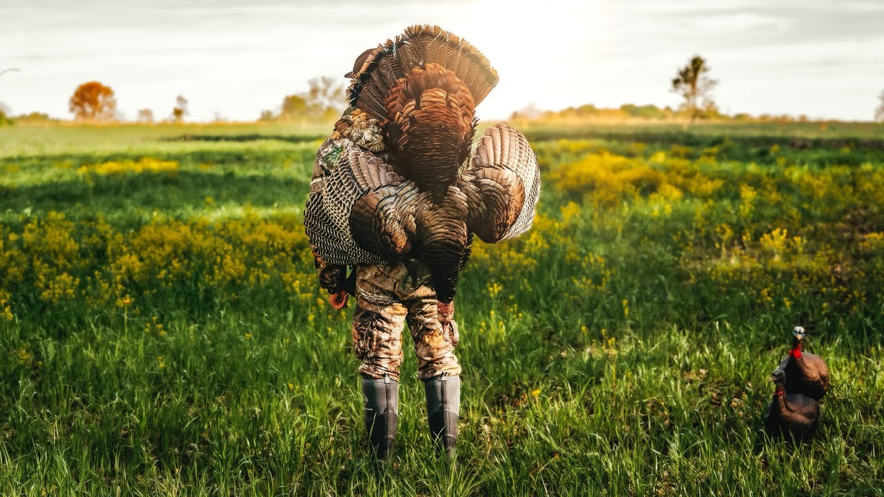 2024 Spring Turkey Season in Ohio💥 - YouTube