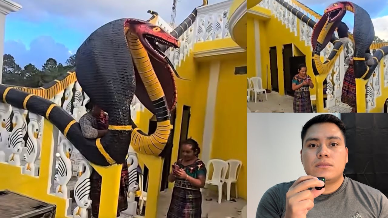 LA CASA DE SERPIENTE EN GUATEMALA 😱 (nachogtvlogs)