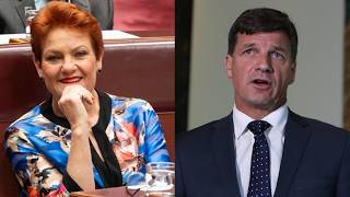 Liberals Warned Attacking One Nation Is A ‘Fool’s Errand’