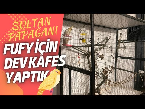 EVDE  DEV KAFES NASIL YAPILIR? (Düşük maliyetli kafes yapımı)