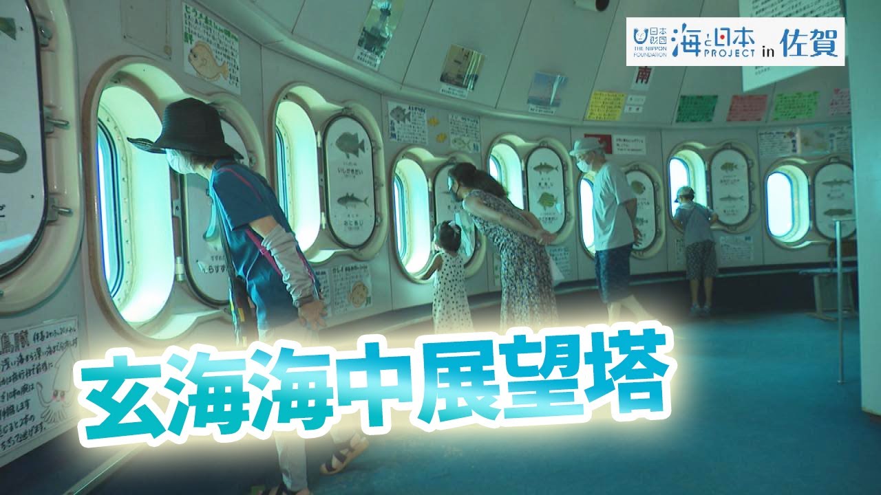 私たちと海をつなぐ海中水族館！玄海海中展望塔 日本財団 海と日本