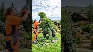 How to transform an ordinary bush into a magnificent eagle! 💚 #garden #gardening