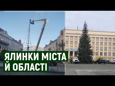 Обласну ялинку почали прикрашати на Закарпатті