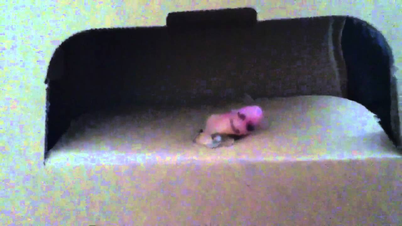 Mini finger puppet shoe YouTube