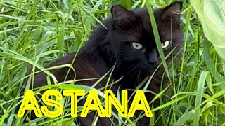 картинка: ASTANA  || Short Walking 4K. 🚶🏻‍♀️АСТАНА || СТАРЫЙ ЦЕНТР