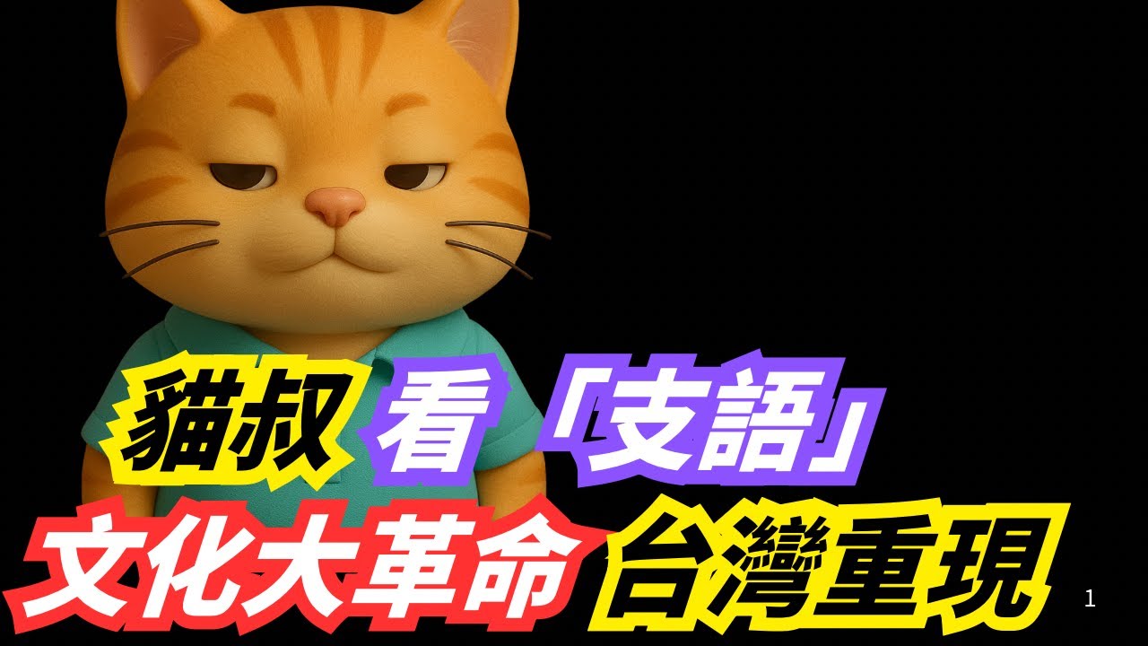 「全字幕」貓叔看支語糾察隊，文化大革命台灣重現。