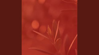 Bubbly Ambience for Calm Evenings