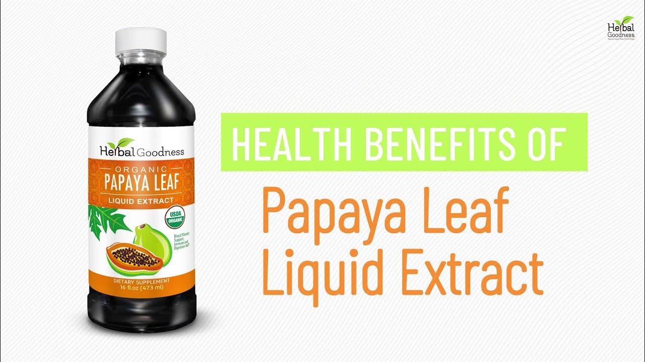 3 Super Health Papaya Leaf Liquid Extract Benefits Herbal Goodness