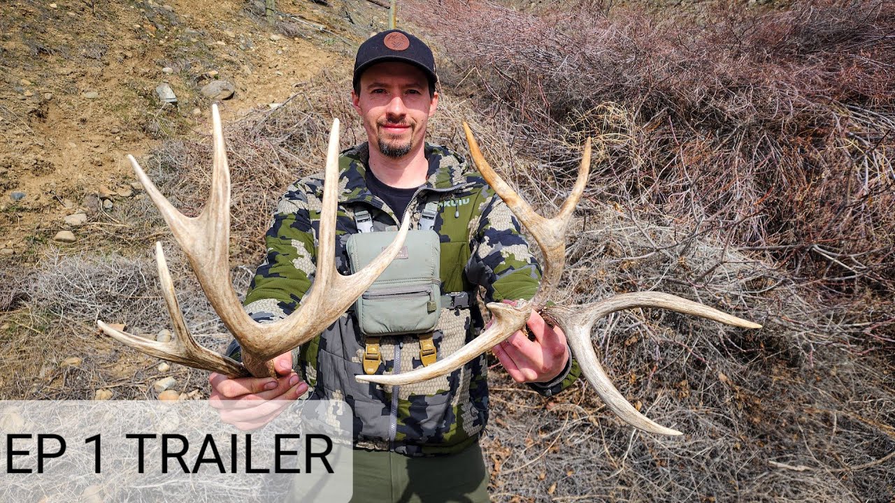 2023 WASHINGTON STATE MULE DEER SHED HUNT TRAILER YouTube 2023-washington-state-mule-deer-shed-hunt-trailer-youtube