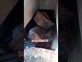 Nos sorprendió este lugar # #paranormal #miedo #misterio #paraguay