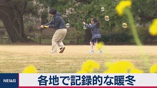 各地で記録的な暖冬