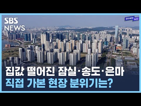 잠실·송도·은마 집값 6억씩 떨어졌다는데...현장에 직접 가봤습니다 / SBS