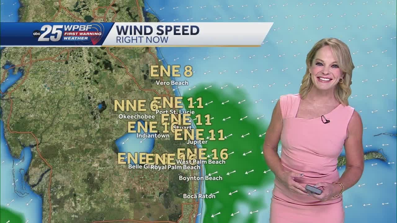 Partly Cloudy and Breezy for South Florida - YouTube