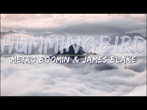 Metro Boomin & James Blake - Hummingbird (Lyrics) - Full Audio, 4k Video