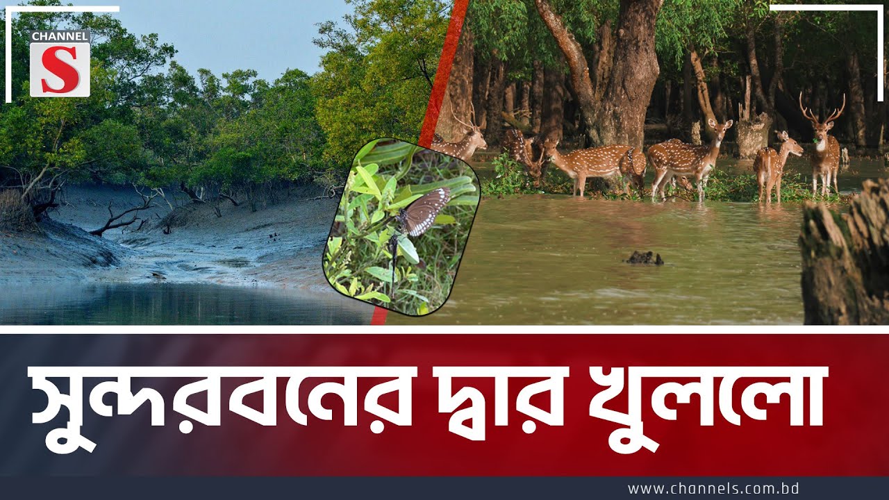 খুললো সুন্দরবনের দ্বার । Sundarban । Channel S