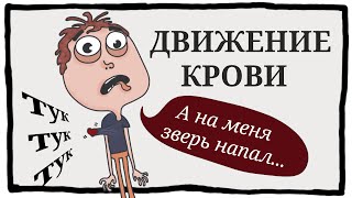 Система кровообращения | движение крови | окружающий мир (анимация)