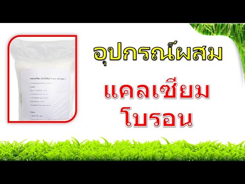 ผลสลากกินแบ่งรัฐบาล วันที่ 1 พย. 2567 ผลสลากกินแบ่งรัฐบาล วันที่ 1 พย. 2567