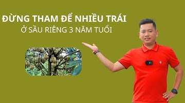 Đừng THAM để nhiều trái sầu riêng | Nông Nghiệp Tây Nguyên