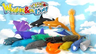 くじら&Co.ビッグ全16種類開封！ #japanesetoys #デアゴスティーニ　(Whales & co. big)