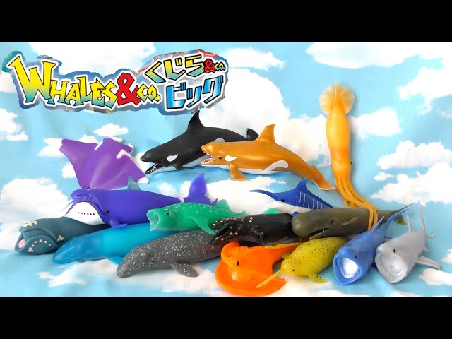 Whales & co. big All 16 types opened! - YouTube