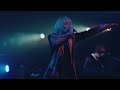 日常侵略-夕方と猫【LIVE Video】