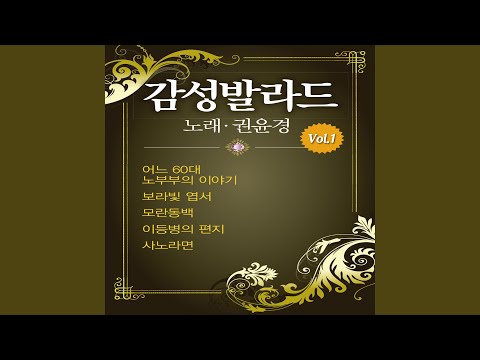 제주도의 푸른 밤