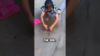 💥 Grandma’s SHOCKING Discovery Will BLOW Your Mind! 😲🔥#MindBlown #AmazingDiscovery #ViralNews