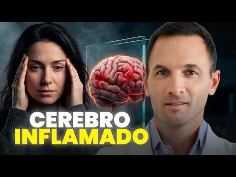 Reduce Brain Inflammation Using Only Diet