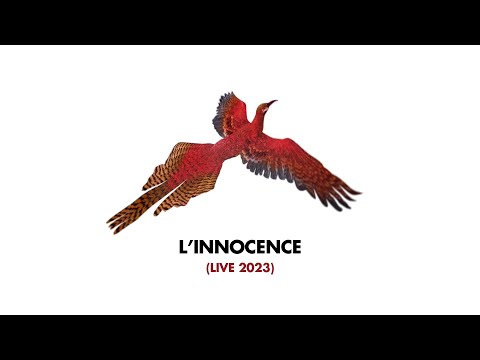 Arthur H - L'innocence (Audio - Live 2023)