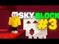 IL NETHER MIGLIORE DI SEMPRE - Skyblock Minecraft ITA Ep. 3