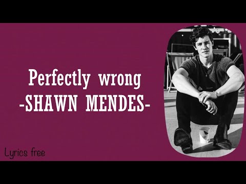 Perfectly wrong- Shawn Mendes- lyrics