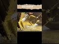 live accident #viralvideo #foryou #highlights