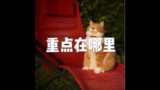 201812 重点在哪里50944 Guide