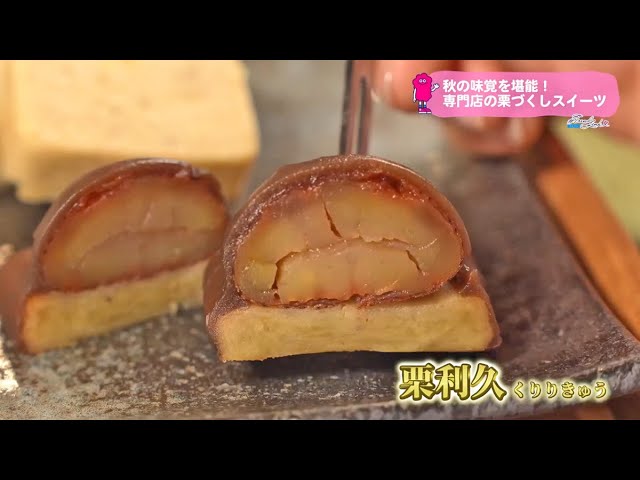 Trend＃Link 秋の味覚を堪能！専門店の栗づくしスイーツ