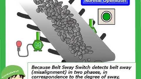BELT SWAY SWITCH