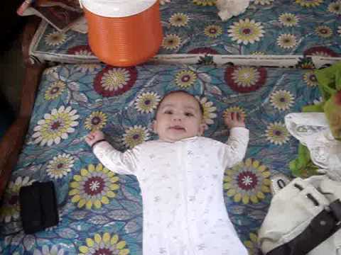 Horain Hadiya Hameed Tripple H