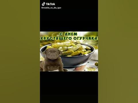 С днём хрустящего огурчика - YouTube