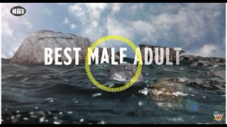 Κατηγορία BEST MALE ADULT - Mad Video Music Awards 2015 by Coca-Cola