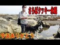 シベリアンハスキー犬クッキーさようなら・今迄ありがとう。