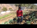 Testimonio LETICIA GARCIA GAYTAN 1