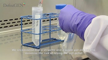 Thawing and Plating Cryopreserved Hepatocytes - DefiniGEN