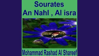 Sourate An Nahl, Pt. 2