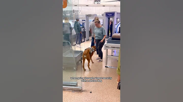Important✈️ airport security info for Service Dogs #servicedog