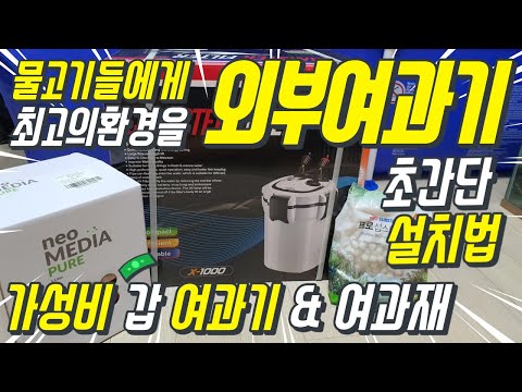 가성비 갑 외부여과기 여과재 추천 초간단 설치 방법 사용설명서 외부여과기 설치 어렵지 않습니다. 상어가족 연못에 외부여과기를 설치하다. Canister Filter Pond