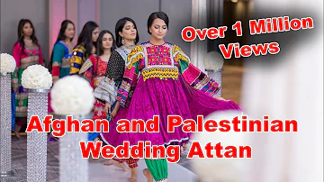 Afghan and Palestinian Wedding Attan Performance