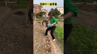 Thumbnail for 這蘋果種的,費腳又費錢#搞笑 #搞笑段子 #星哥快跑 #看壹遍笑壹遍 #shorts