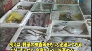 上海レポート　