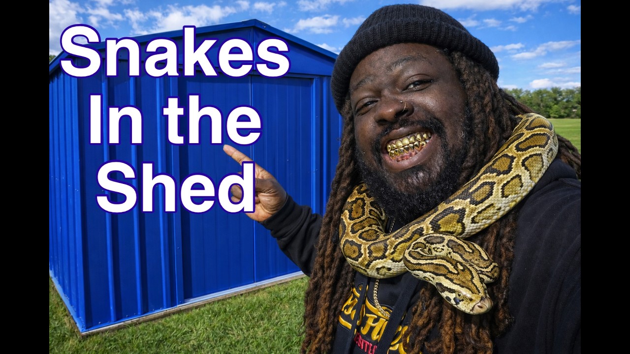 SG VLOG #10 | Я ПЕРЕДЕЛАЛ ХОЗЯЙСТВЕННЫЙ САРАЙ В КЛАДОВУЮ ДЛЯ ЗМЕЙ