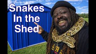SG VLOG #10| I CONVERTED A UTILITY SHED INTO A SNAKE ROOM
